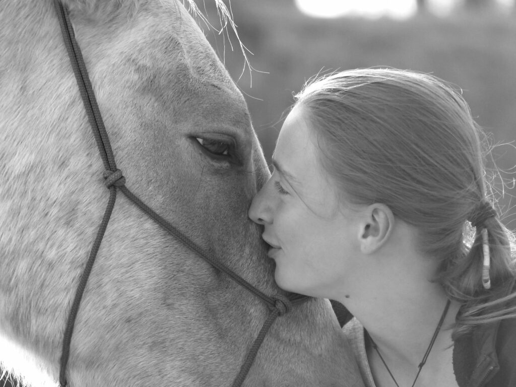 communication animale Découvrez mes prestations de communication animale pour mieux comprendre et renforcer la relation avec votre compagnon Avis