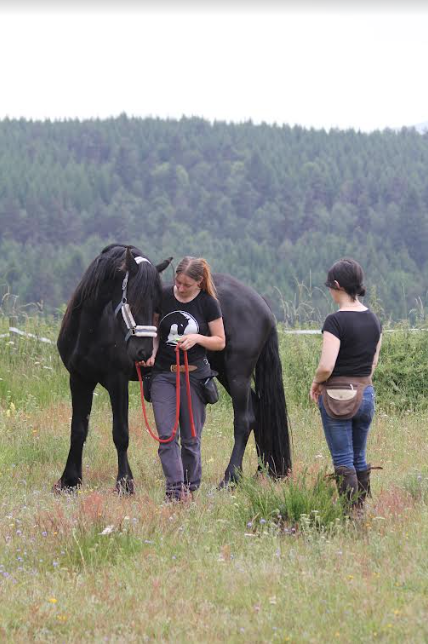 Accompagnement relation homme/cheval